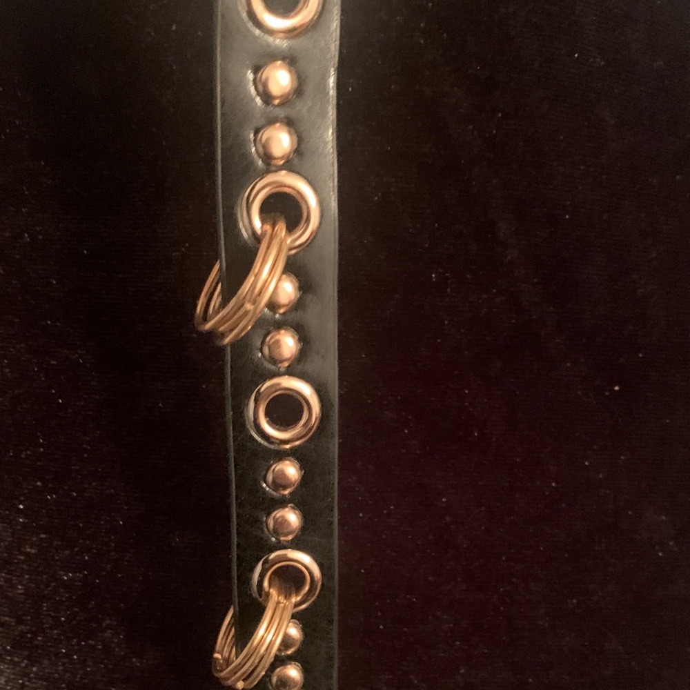 🔥LOW PRICE 🔥NEW- RACHEL ZOE LA NY Chic Black Belt with Gold Rings Belt - Picture 3 of 7
